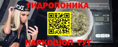 прущие крисы Мариинск