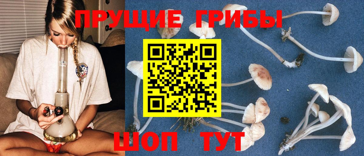 Псилоцибиновые грибы прущие грибы Тобольск