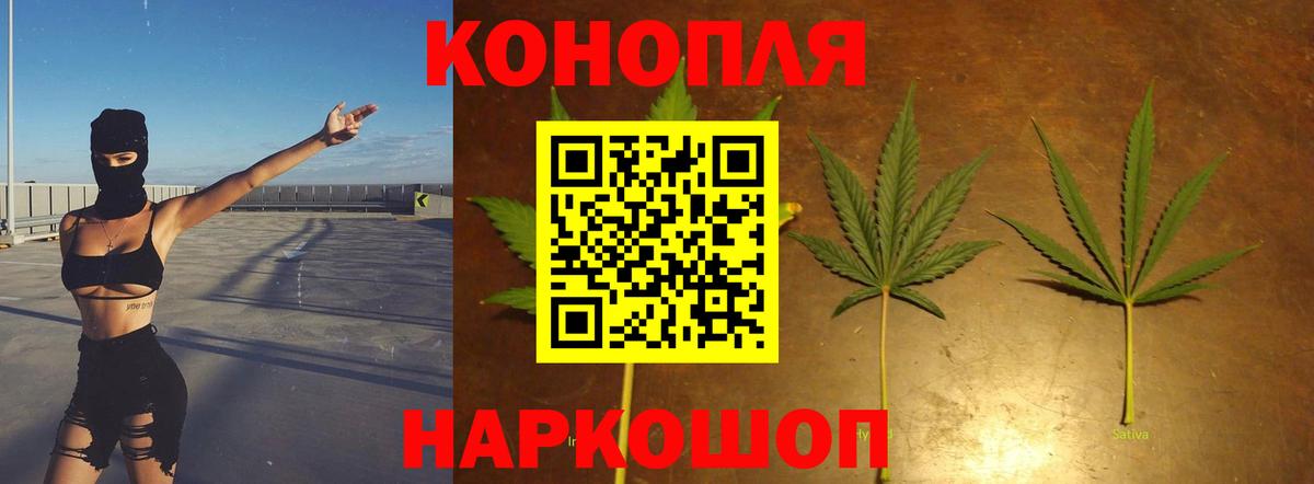 Марихуана сатива Тобольск